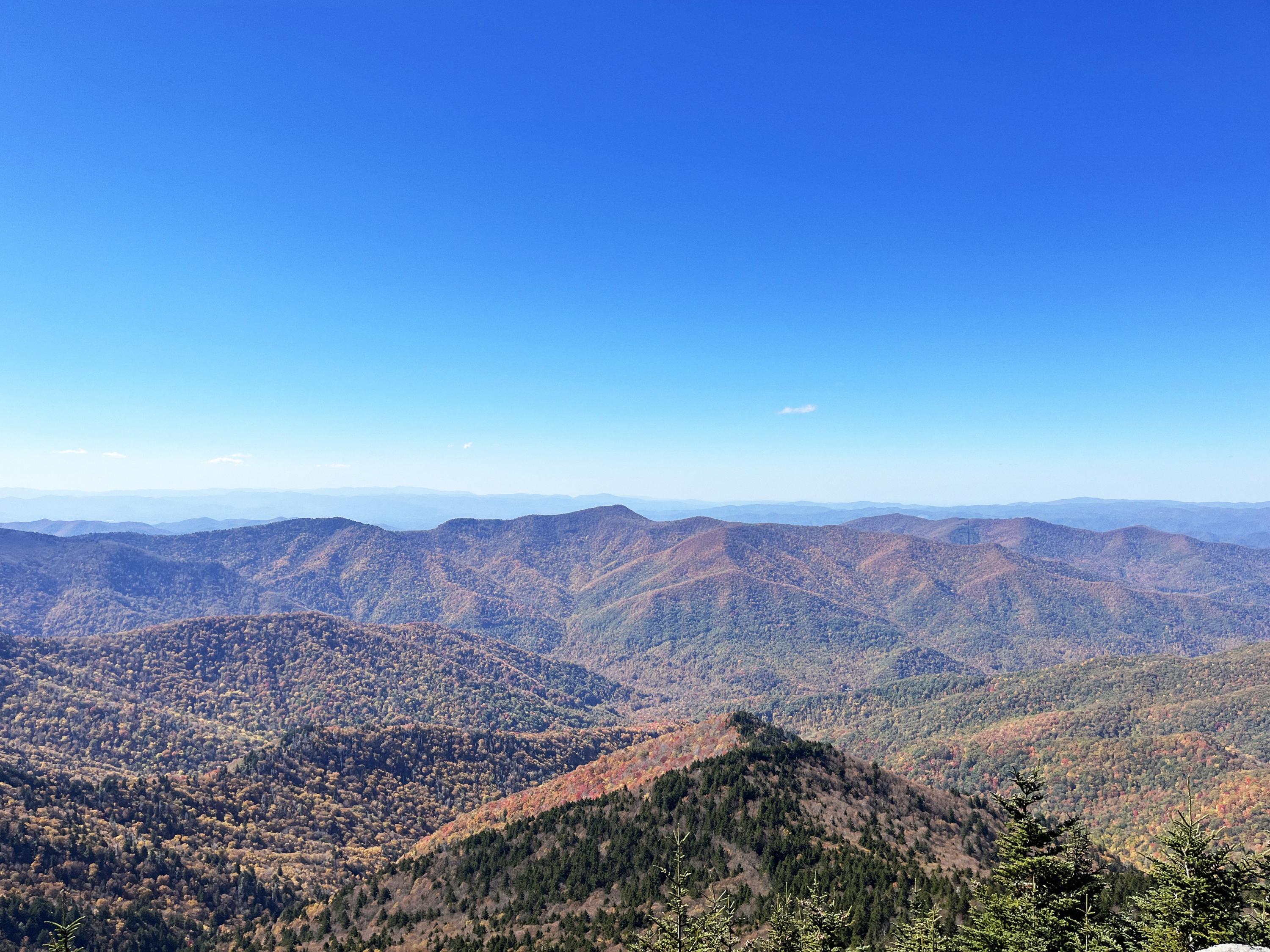 Along the highest peaks in North Carolina, an isolated spruce-fir boreal forest stands as a relict of the Pleistocene, contrasting with deciduous trees on the Southern Appalachians. (Photo: Mount Mitchell State Park by Jess Hunt-Ralston, Georgia Tech)