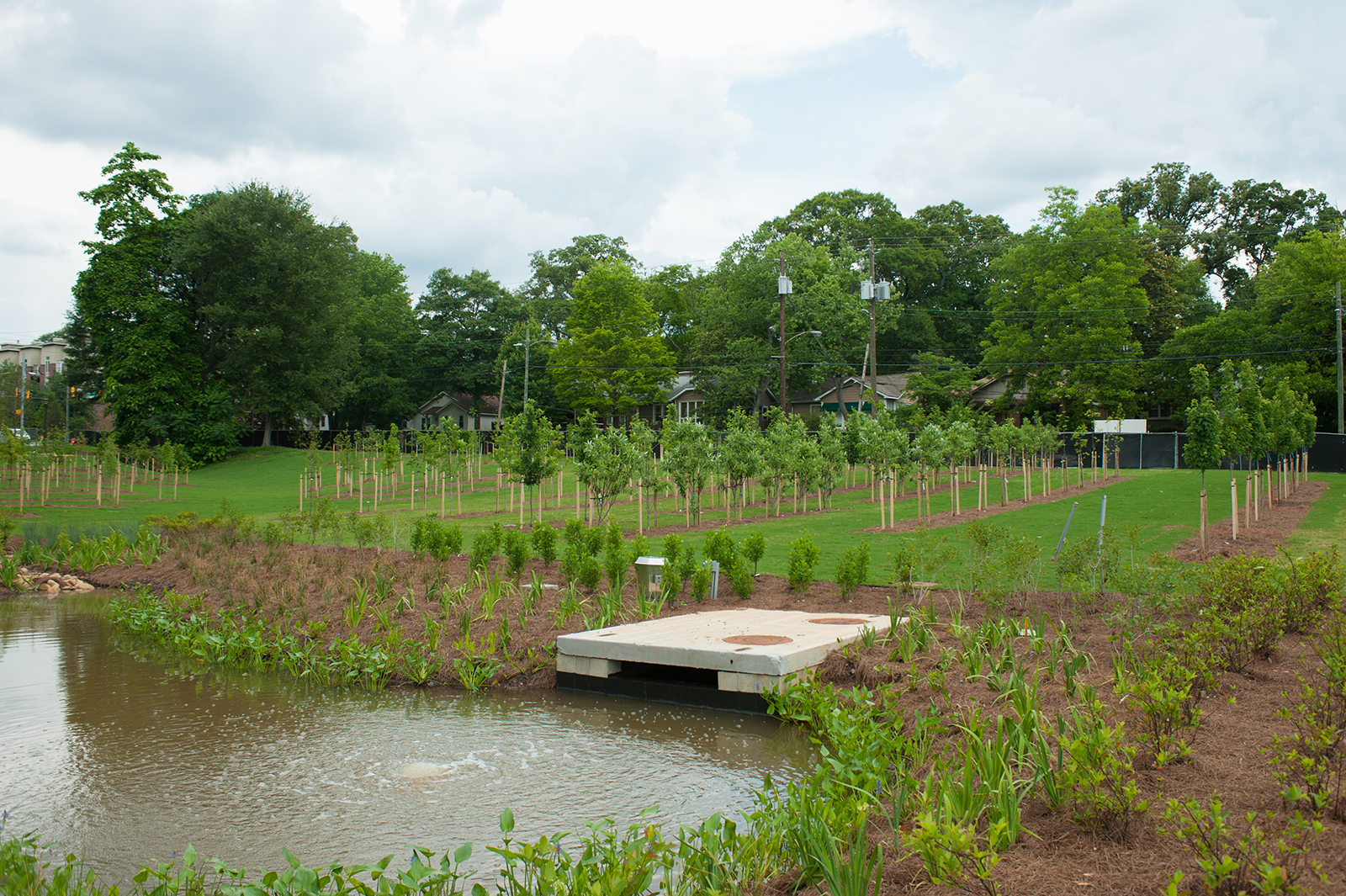 stormwater management features at the Krone Engineered Biosystems Building