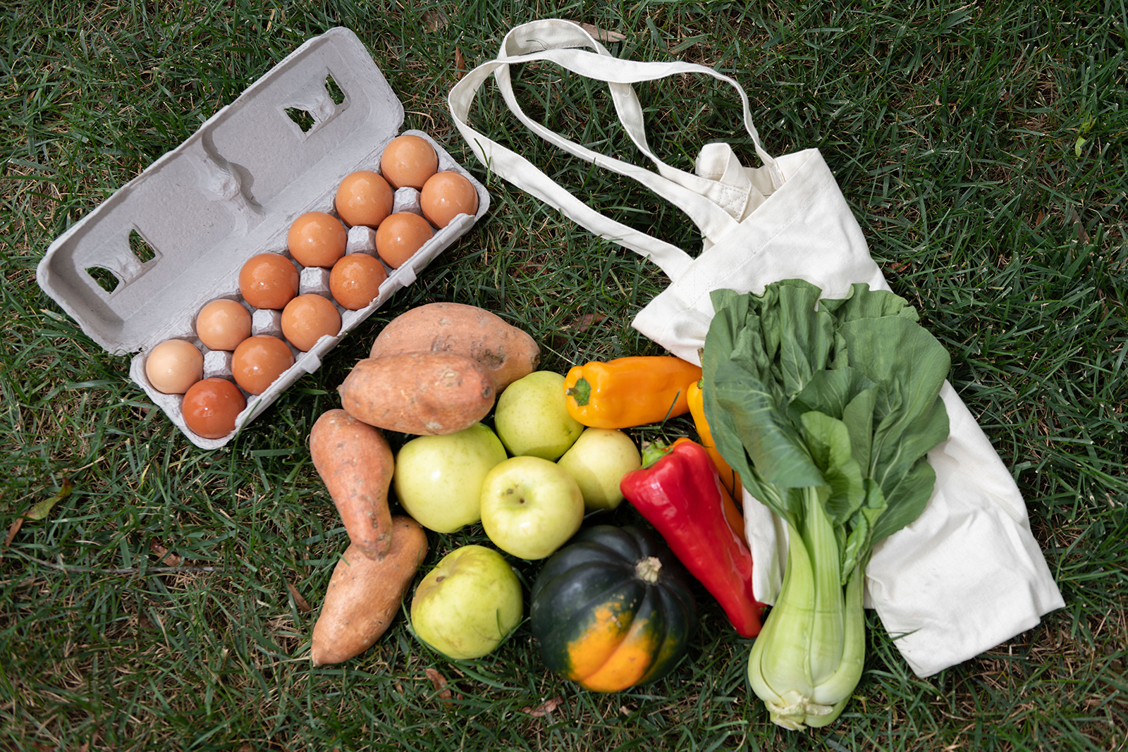 fresh vegetables from the campus farm share program