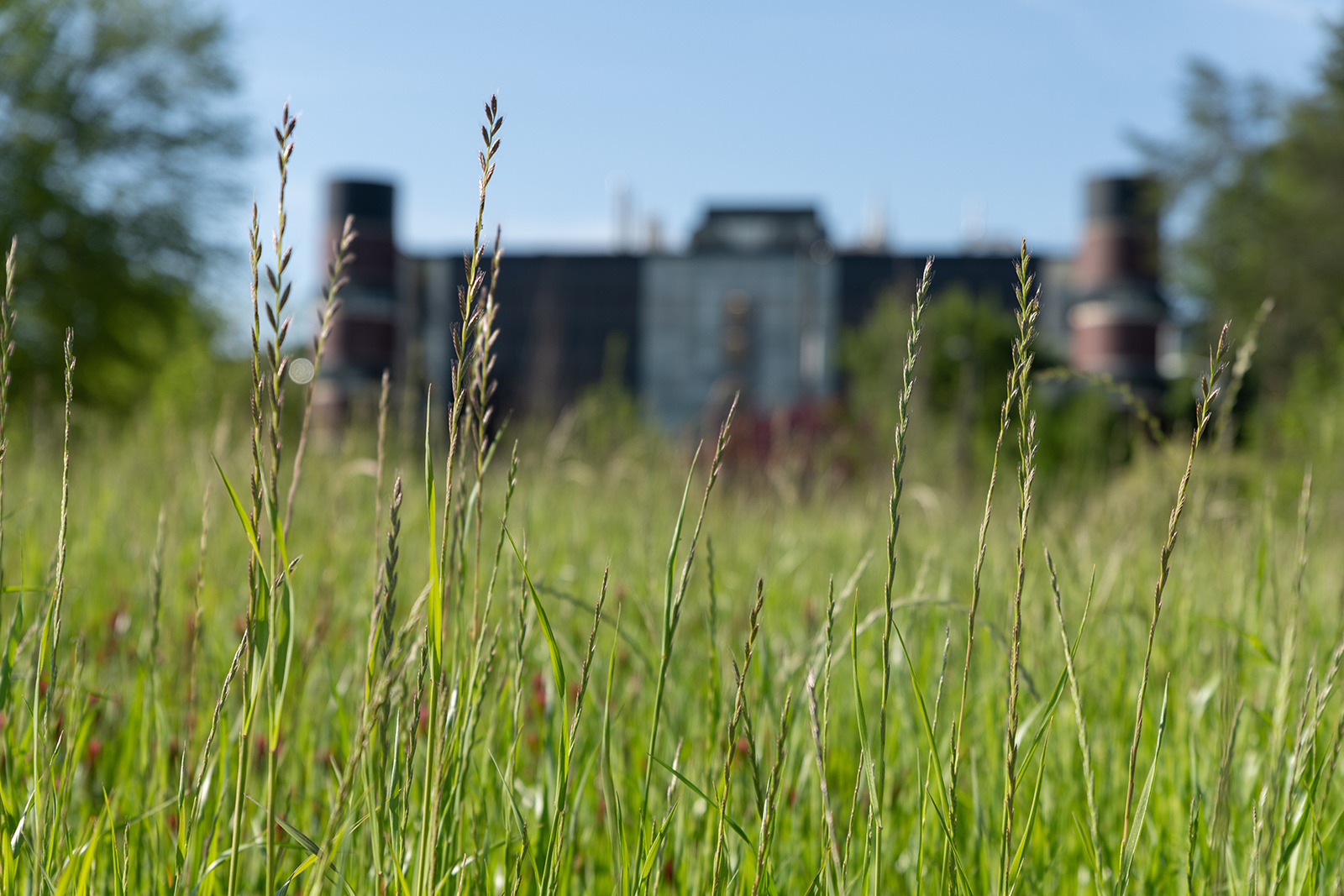 the MRDC visible through grass at the EcoCommons